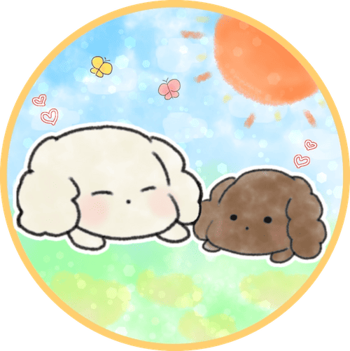 【糀谷駅徒歩7分】大田区西糀谷のトリミングサロン|陽だまりDog's